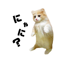 mizuki_20190421151925