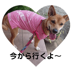 tonton_20190428181849