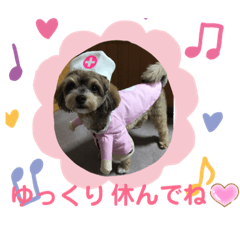 Hanamama_20190428203649
