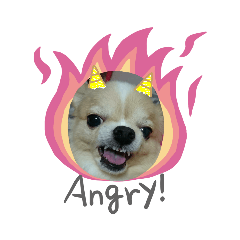 sally_20190428202658