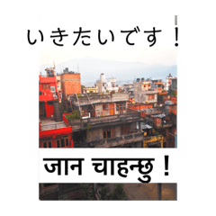 猫とネパール語1