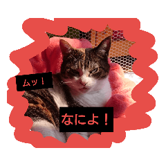 hinata_20190428135903