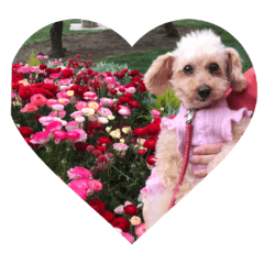 Chiharu_20190428233346