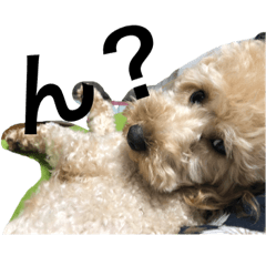hana_20190429003820