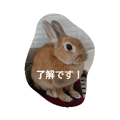 kinako_20190429110908