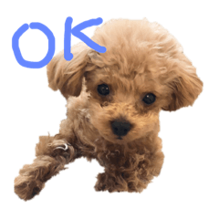 Yukko_20190429095146