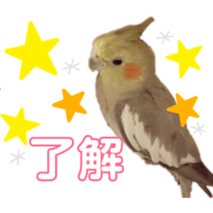 ayano_20190429130449