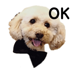 bill chan