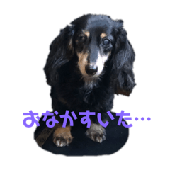 milky_20190429190222