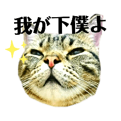 ponzu_20190429181959