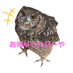 まぁ使いにくいフクロウスタンプ