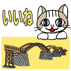 Cat and Kintaikyo Bridge
