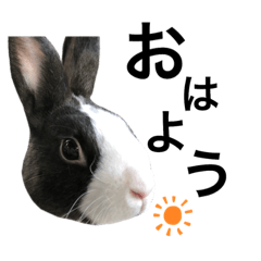 ダッチうさぎの日常 Line スタンプ Line Store