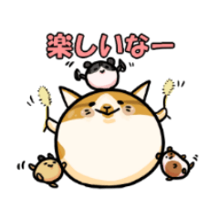 Cats and Hamsters Kishicoya