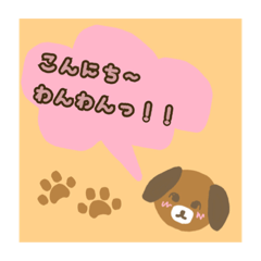 marin_20190429151947