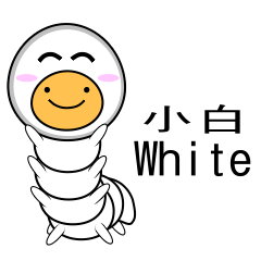 Silkworm_White_1