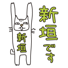 Only for Mr. Niigaki Banzai Cat
