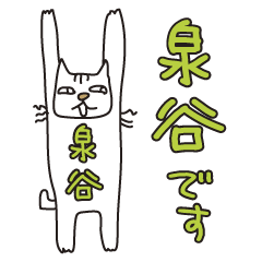 Only for Mr. Izumiya Banzai Cat