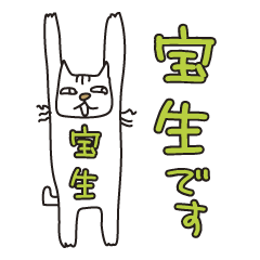 Only for Mr. Hosho Banzai Cat