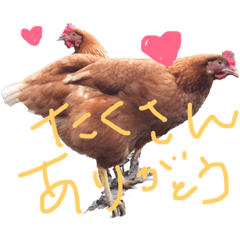 Kokoko_20190429191146