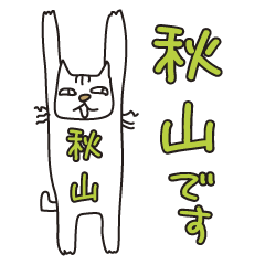 Only for Mr. Akiyama Banzai Cat