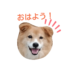 mimi_20190429202529