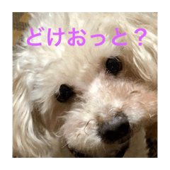 yukari_20190429201726