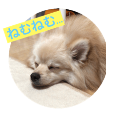moco_20190430000834
