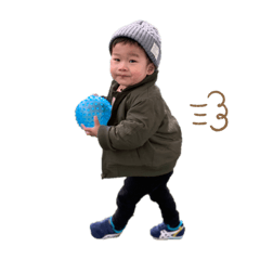 RYO711