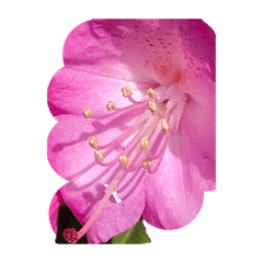 G_20190429223215
