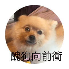 醜狗也有春天