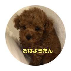 Sayuri_20190430135601