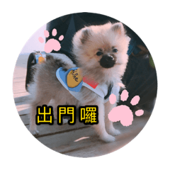 荳荳doudou