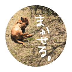 riho_20190428051411