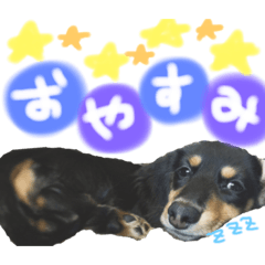 KOA_0708