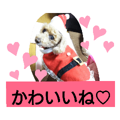 nozomi_20190430170005