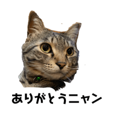 itaita_20190430182221