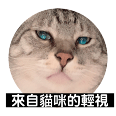 阿龍小雨の日常