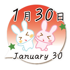 Rabbit January 30