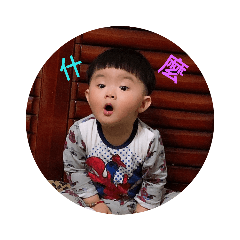 小肥安2