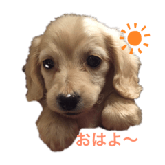 Kurumi_20190430223756