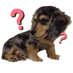 KINAKO_20190430233626