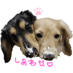 KINAKO_20190430225211