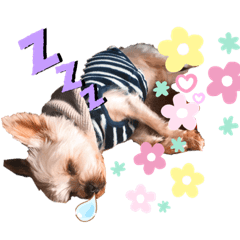 Coco is cute.