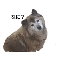 Ryu_20190417165629