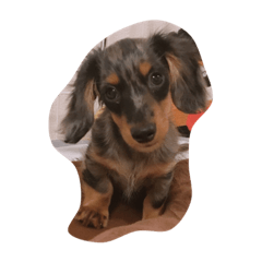 NATSUMI_20190501090720