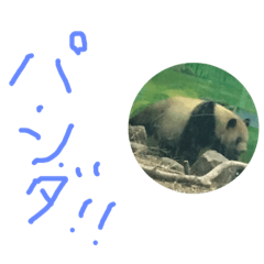 Haruto_20190430191713