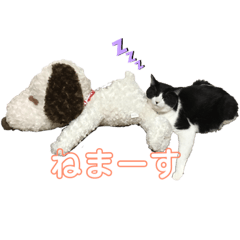 MARINA_20190501135939