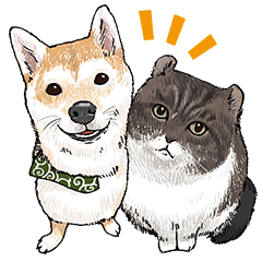 Shimaho Pet Sticker 2019