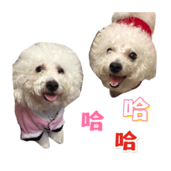 琳琳❤️甜甜